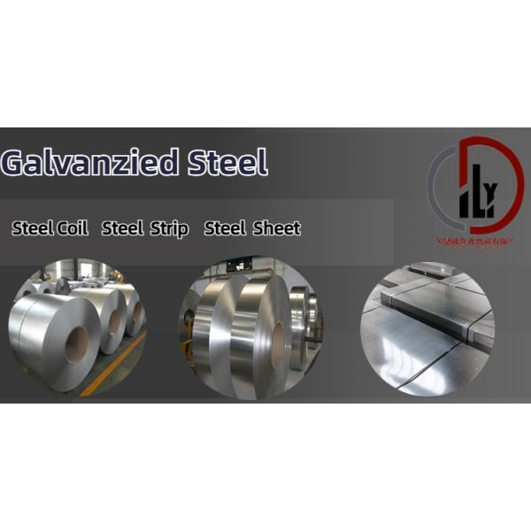 Iron Steel Hot Dipped Gi Galvanize Steel Coil Steel Plate for Your 30%TT 70% Balance