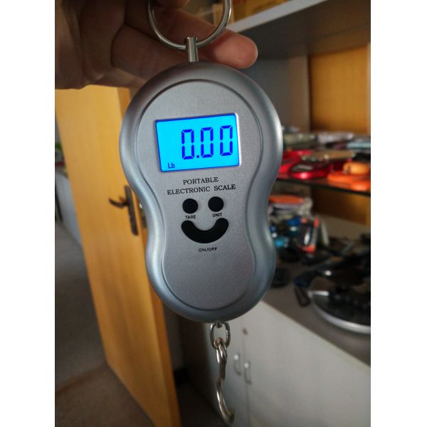 Over Load Indication Hanging Digital Weighing Scale With ABS Plastic Material