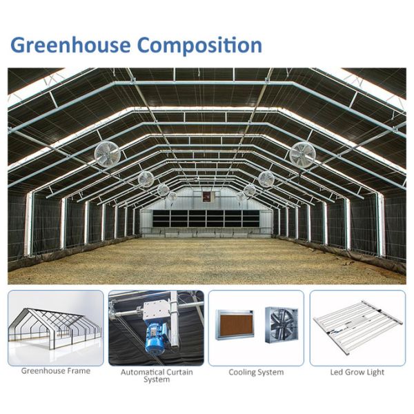 Medical Plant Growing Fully Auto Greenhouse Led Grow Light 100% Automated Light Deprivation Blackout Greenhouse
