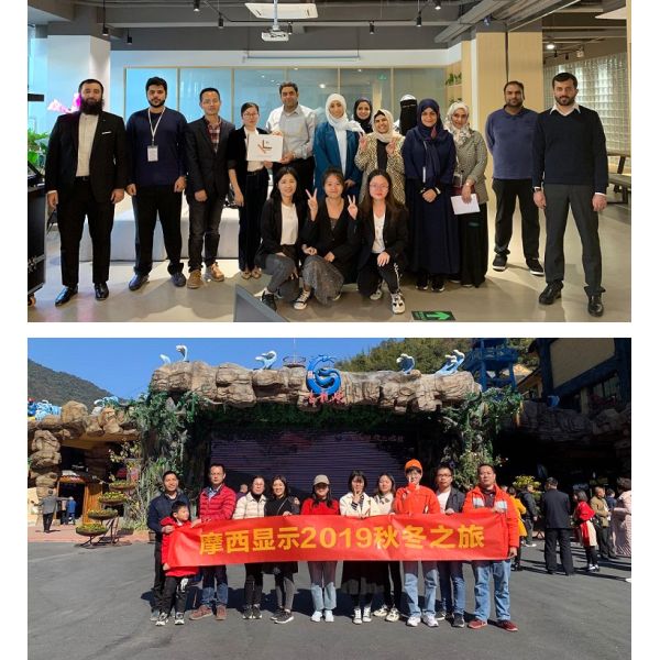 5m Width 3D Images Transparent Holographic Foil Reflect Screen