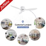 White Energy Saving DC Motor Bedroom Low Profile Ceiling Fan With Light