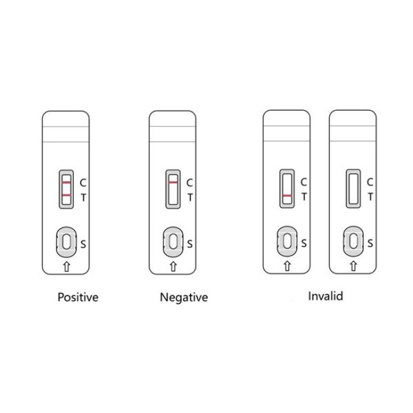 Fresh Feces CPV Canine Parvovirus Rapid Pet Rapid Test For Pet 10Tests/Kit GMP ISO9001