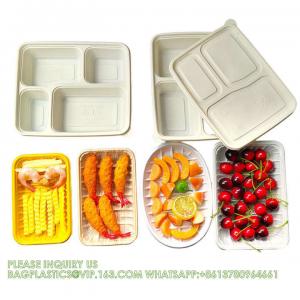 China Disposable Biodegradable Sugarcane Bagasse Pulp Food Container Take Away Lunch Box Sugar Cane Food Container wholesale