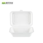 Sugarcane pulp paper packaging burger box container
