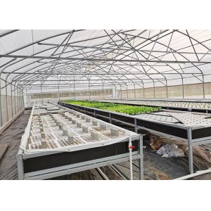 Durable Nutrient Recycling Deep Water Grow System Recirculating Dwc System