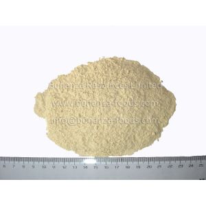 Bulk Supply China Dehydrated Garlic Powder Dried Garlic Flour