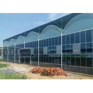 China Plastic Film Vegetables Tomatoes Single Span Greenhouse wholesale