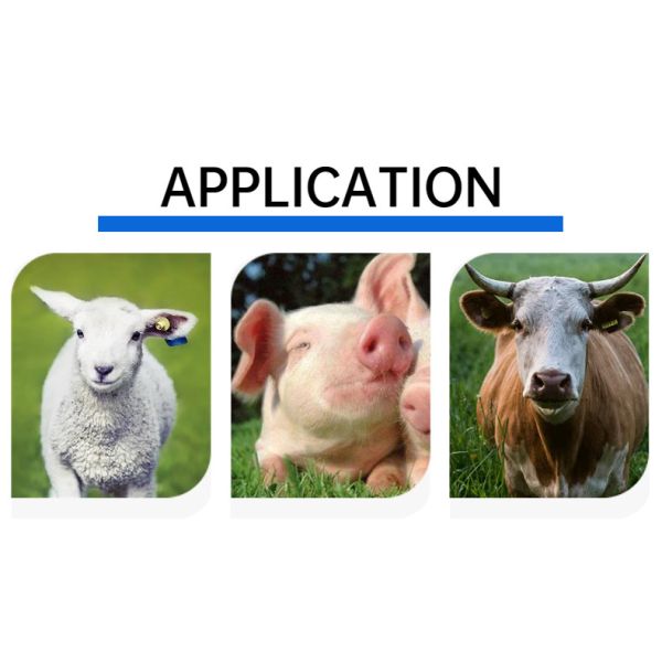 Professional Sheep Ear Tags for Livestock Management - Heavy-Duty 5+ Year Durability, ISO Compliant, ICAR certified, Ideal for Pasture & Farm Tracking