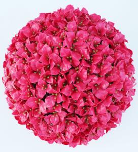 China Flower Topiary Artificial Plant Balls Plastic Faux wholesale