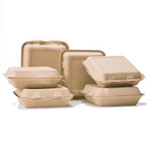 China Eco Food Serving Tools Biodegradable 1000ml Takeaway Food Container wholesale