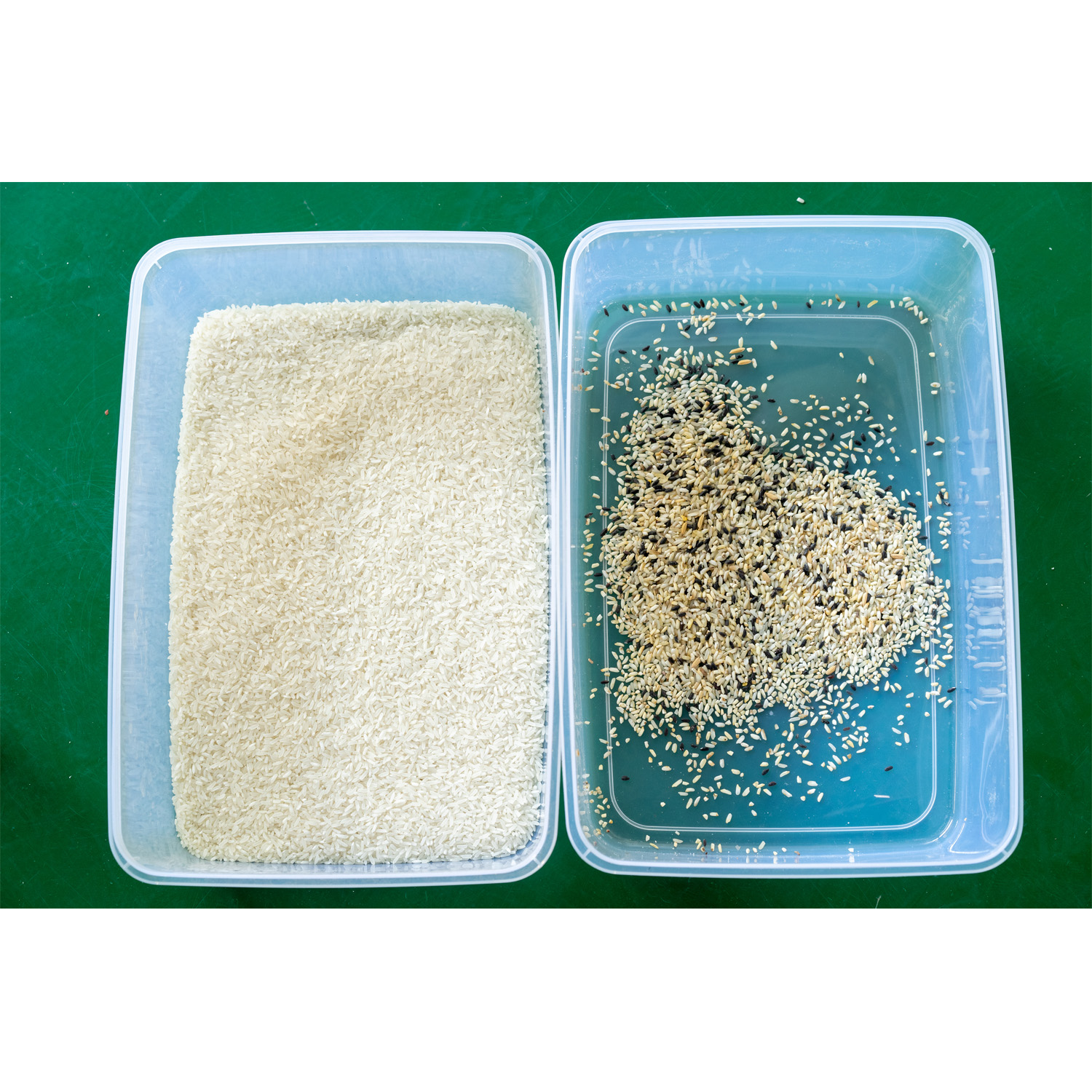 2020 New Design Intelligent 10 Chutes Grain Color Sorter