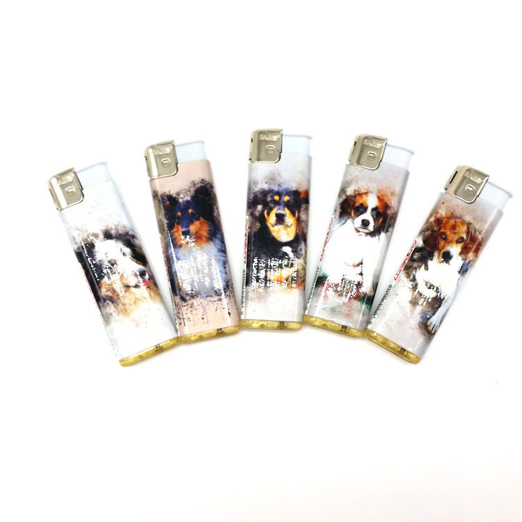 ISO9001 Certification Custom Cigarette Butane Gas Plastic Electric Disposable