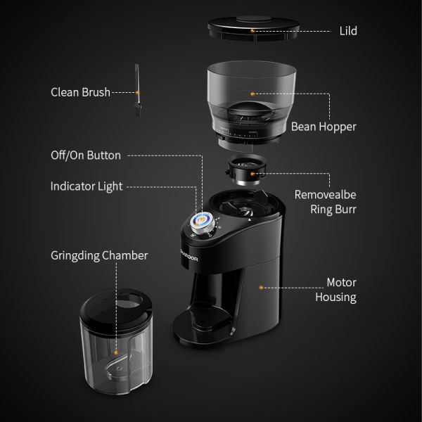 220 Volt Shardor Conical Burr Coffee Grinder 150W Stainless Steel with LED Light