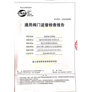 Wenzhou Xidelong Valve Co. LTD Certifications
