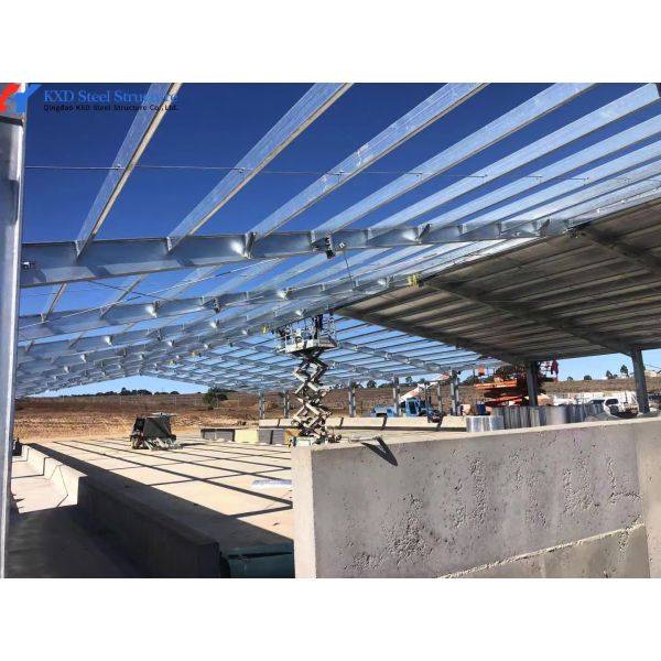 Custom Piggery Shed Light Steel Structure Cow Shed With Automatic Euipment