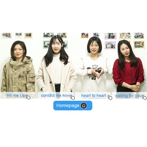 3d Holographic Display Projector Live Hologram Holograph Projector 3d Hologram Fan System Stage Holographic Foil