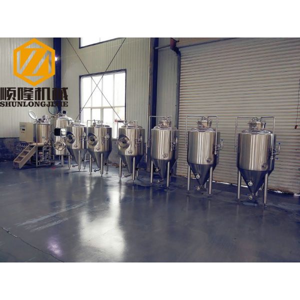 Two Vessels Industrial Brewing Equipment , 3HL SS Commercial Micro Brewing