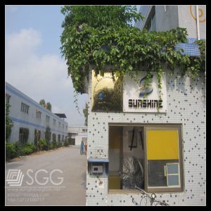 China Shenzhen glass factory experienced on romania market wholesale