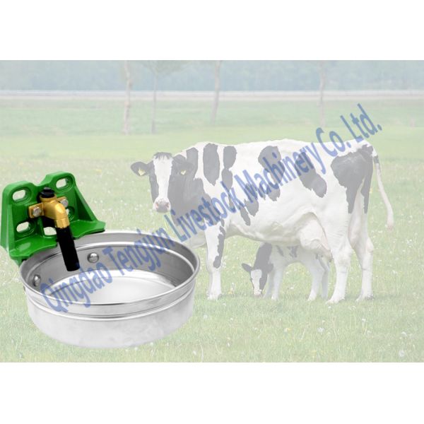 Dairy Cow Horse Water Bowl Brass Valve Wall Or Tube Mounting For MILKING COW