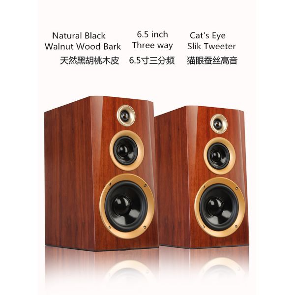 Battery Powered Active Sound Monitor 10-120w Output Power Ideal for Live Performances