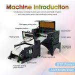 DTF A3 Printer Andemes Shaker System with RAPID Drying and CE/UKCA/ROHS