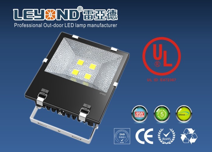 China High Power COB 120LM/W Bridgelux Chip 5 Years Warranty Meanwell Driver IP65 LED Flood Light wholesale