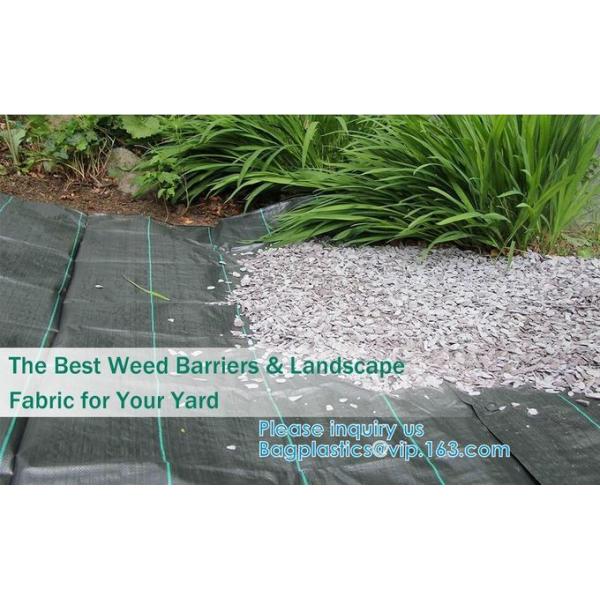 Customized Grade Gardening Fabric Rolls, Weed Control, Eco-Friendly, Flower Bed, Mulch, Pavers, Edging, Garden Stakes 27