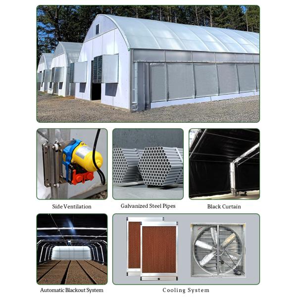 Agricultural Greenhouse 10m*100m Light Deprivation Greenhouse Hydroponic Greenhouse For Hydroponic Herb Growing