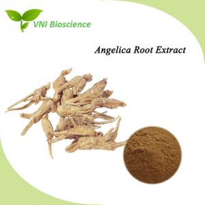 China Halal Certified Angelica Extract Ligustilide Ferulic Acid  Dong Quai Extract wholesale