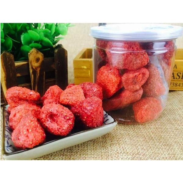 1.75KW Portable Freeze Drying Machine Small Dimension Touch Screen Operation