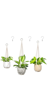 macrame plant hanger
