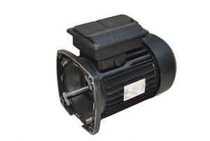 China Special Motors For POOL Spa pumps on sale