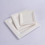 10 Inch Green Compostable White Square Paper Green Biodegradable Sugarcane