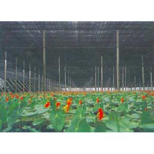 China Agriculture Greenhouse Shade Netting wholesale