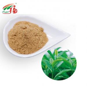 China Instant Oolong Tea Green Tea Extract Powder 20% Polyphenols For Beverage on sale