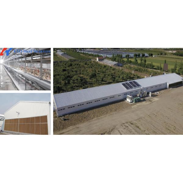 KXD Broiler Poultry Equipment Automatic Poultry Farm Plastic Slatted Flooring