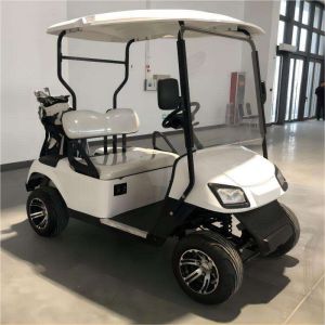 Customizable 2-Seater Latest Model Electric Golf Cart