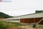 Fully Automatic Galvanized Poultry Farm Layer Cage with Feeding System