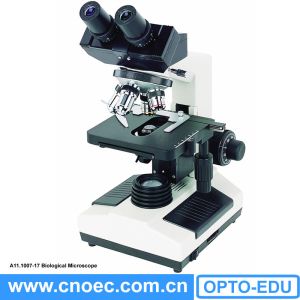 China XSZ-107BN Student Biological Microscope wholesale