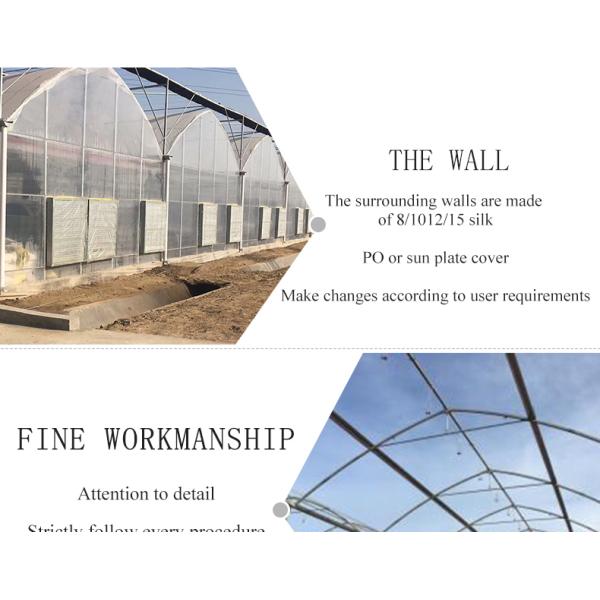 30 x 100 Vegetable Growing Film Covered Multi-span Arch Greenhouse with PO Cover