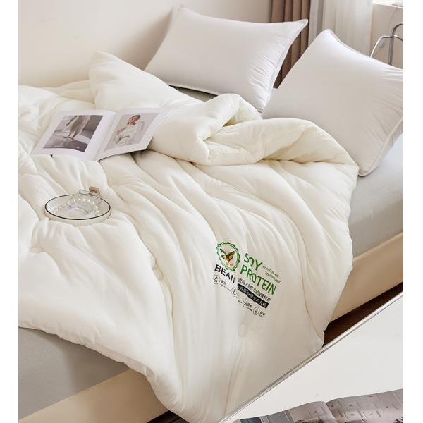 2024 Class A Customized Color Spring/Summer/Autumn/Winter Quilt for Hotel and Home