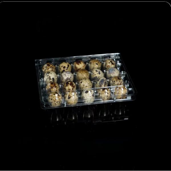 20 Hole Disposable Plastic Egg Packaging PET Transparent Egg Tray Portable