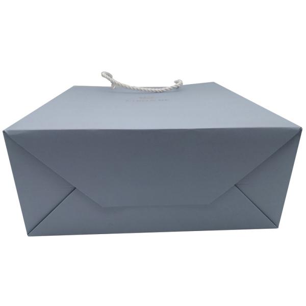 250gsm Cardboard Paper Shopping Bags Pantone 4C Offset With Handles