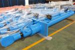Hydraulic Cylinder Flat Gate Replacement Engine Crane Hydraulic Cylinder