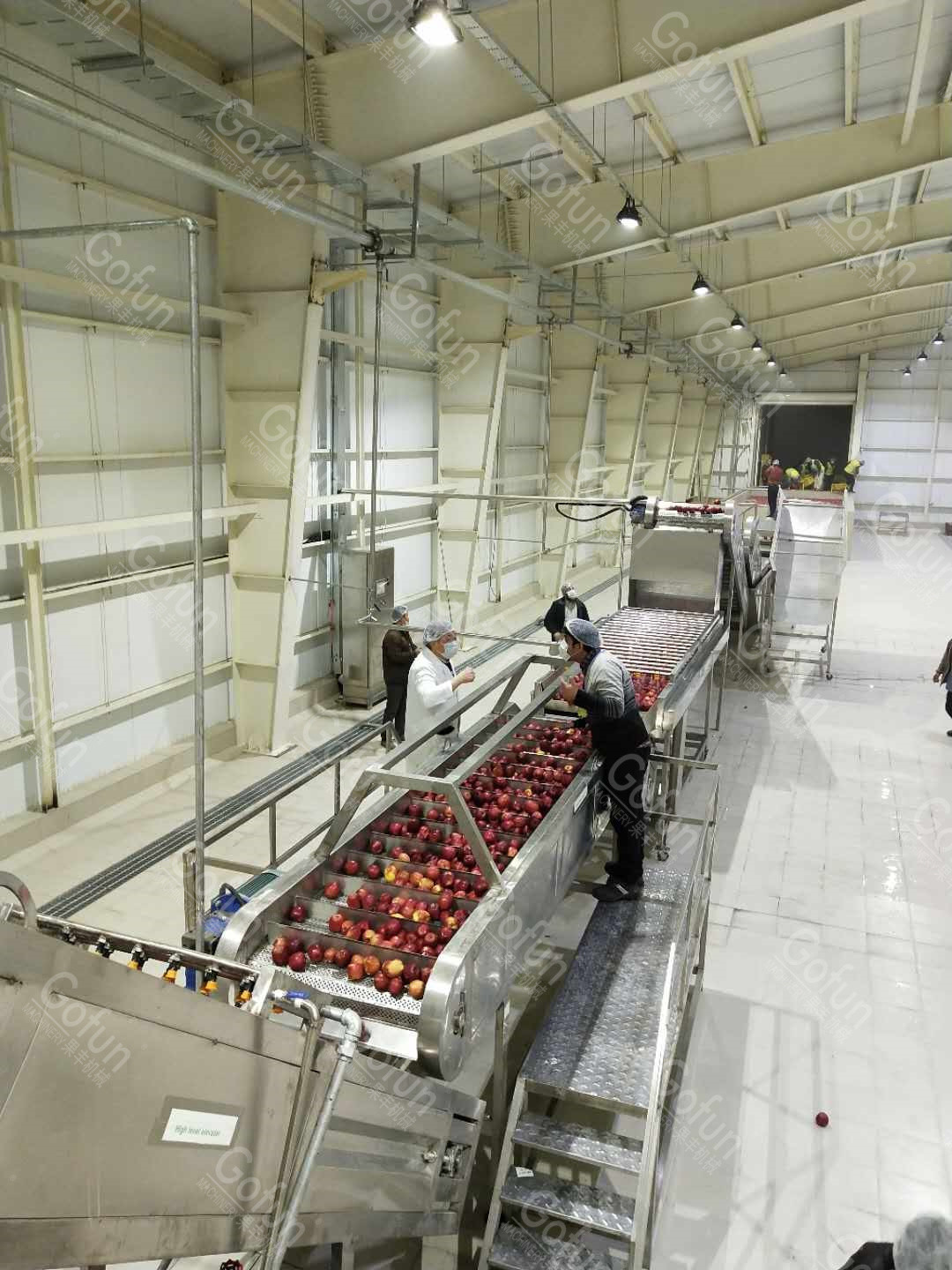 440V Apple Sauce Processing Machines Specially Customized For Food Processing Plants