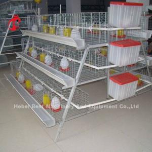 China 3 tiers Pullet Chicken Cage For 1 Week Small Chick Brooder Cage Doris on sale