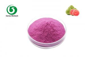 China GMP Standard Natural Powdder Guava Fruit Juice Powder on sale