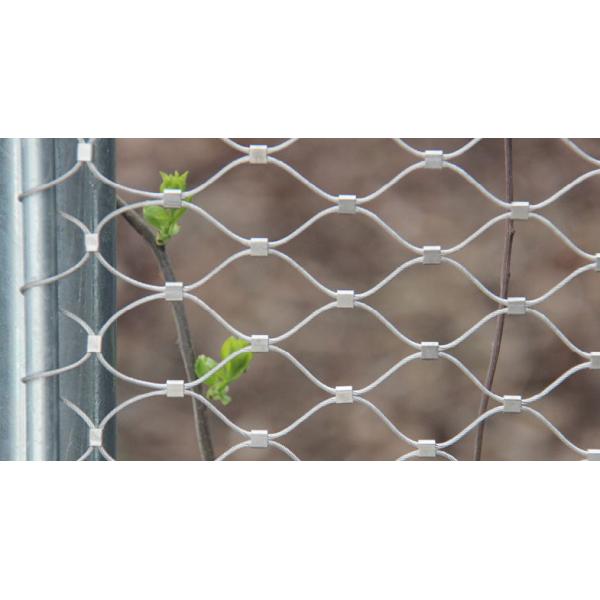 Ferruled Metal Wire Trellis Screen Rust Resistant 1.6-2.4 Rope Climbing Net