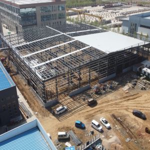 50-Year Painting Prefabricated Steel Frame Buildings for Agriculture