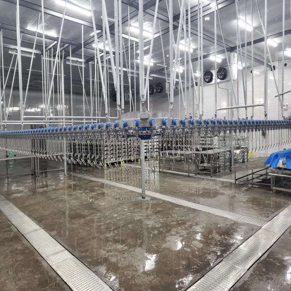 300 Chickens / H Poultry Farming Equipment Scalding Plucking Slaughtering Machine